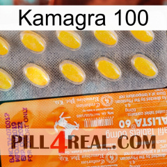 Kamagra 100 new05